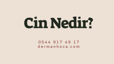 Cin Nedir?