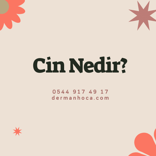 Cin Nedir?