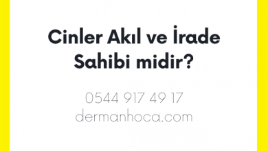 Cinler Akıl ve İrade Sahibi midir?