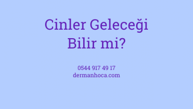 Cinler Geleceği Bilir mi?