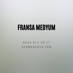 Fransa Medyum