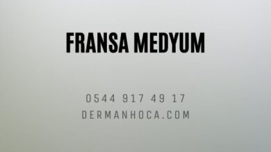 Fransa Medyum