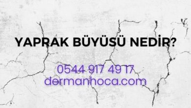 Yaprak Büyüsü Nedir?