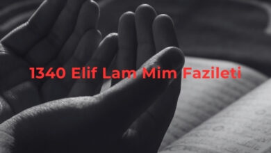 1340 Elif Lam Mim Fazileti