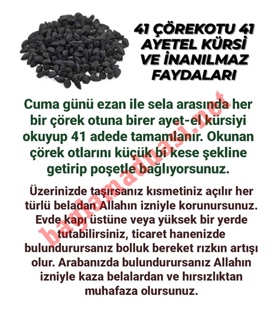 Çörek Otu ve 41 Ayetel Kürsi Mucizesi Nedir?